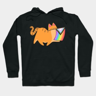 Pride Progress Flag Cat Rainbow LGBTQIA Chibi Orange Tabby Cat Hoodie